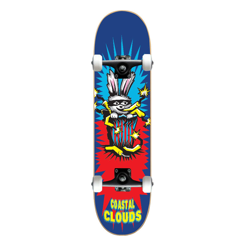 Skate Completo Coastal Clouds Rabbit
