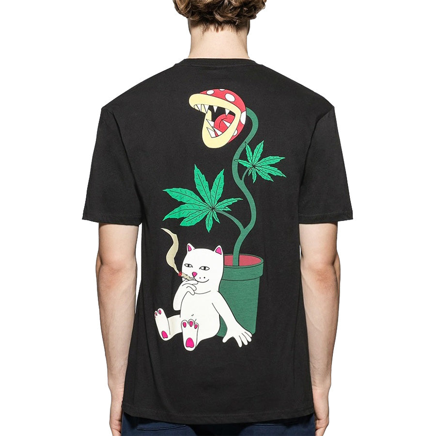 Polo Ripndip 110